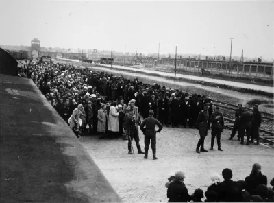 N.....h - Pierwszy etap selekcji więźniów w Auschwitz-Birkenau. 

#iiwojnaswiatowa ...