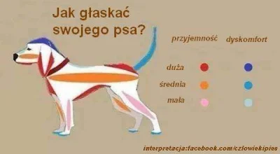 pogop - A czy ty umiesz głaskać psa? ( ͡° ͜ʖ ͡°)

https://www.facebook.com/czlowiek...