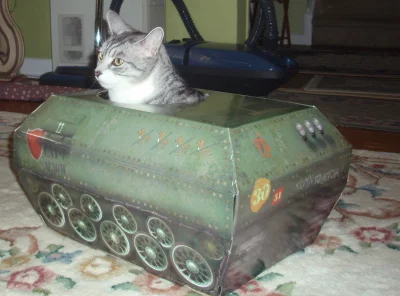 Atreyu - BMP do przewozu piechoty

#koty #koteczkizprzypadku