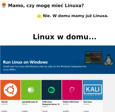 q.....n - #memylinuxowe #linux #wsl #windows #humorobrazkowy #humorinformatykow #hehe...