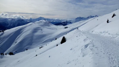 manedhel - Dobra warunki na poranny spacer. (ʘ‿ʘ)

Gdzieś w tle Matterhorn

#dzie...