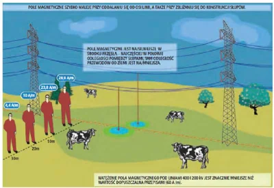 DywergencjaRotacji - Na zdj. Rozkład pola magnetycznego w pobliżu linii 400kV.