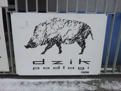 blotosmetek - Czy "dzik podłogi" to dzik, który nadużył?