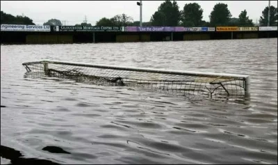 T.....r - Prosto ze stadionu.