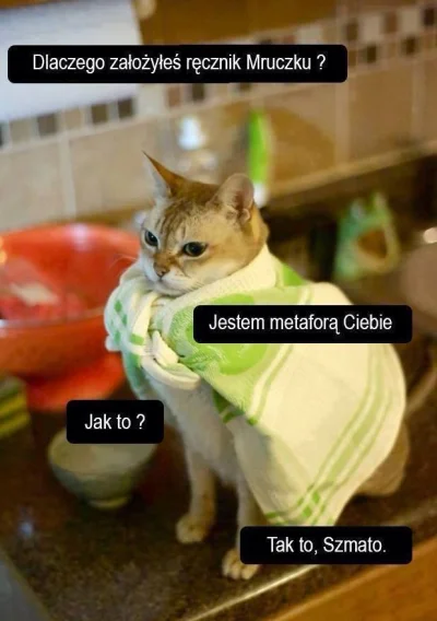 n.....c - #koty #heheszki #rozowepaski