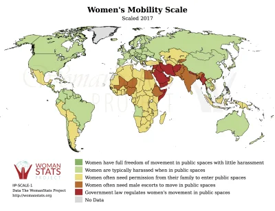 Piekarz123 - Czy kobiety mogą się samodzielnie poruszać? (Women’s Mobility Scale)
- ...