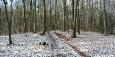 orzelek76 - @AlteredState: A mnie wcale śniegu nie brakuje, dziś u mnie było tak: