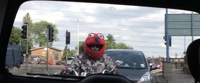 smieszekzagranico - A kto to dzisiaj za mną jechał ( ͡º ͜ʖ͡º)

#elmo #heheszki