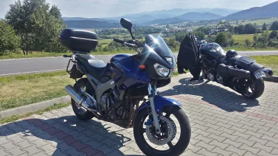 Gajdemar - Mireczki, bieszczadzkie pozdrowienia. Przy okazji #pokazmotor 

#motocyk...