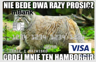 Ufo777 - Zakładam nowe konto w banku, czy taka karta przejdzie?

#banki #smieszneko...