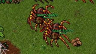 bart88uk - plusujcie giant spidera, nikt nigdy nie plusuje giant spidera #tibia #tibi...