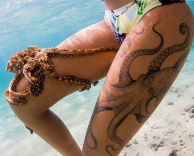 GraveDigger - Ale ładne połączenie :)
#zwierzaczki #nogi #tatuaze #glowonogisazajebi...