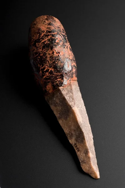 myrmekochoria - Nóż służący do obrzezań, Australia 1850-1920 (Aborygeni, ale obrzezan...