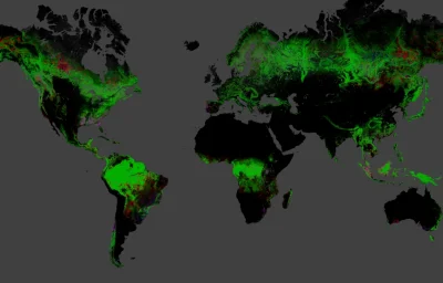 Deykun - Mapa reprezentuje zmianę powierzchni lasów między 2000, a 2012. Czerwony ozn...