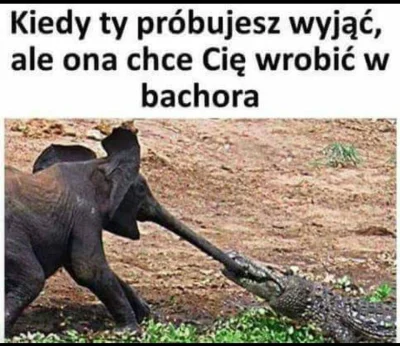 BenzoesanSodu - xDDDD

#heheszki #humorobrazkowy #humor #gownowpis #seks #seksy