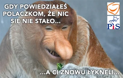 l.....v - @zielone_szekle: Wyborcy nie karzą, to co się mają kryć? ( ͡°( ͡° ͜ʖ( ͡° ͜ʖ...