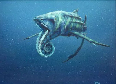 bioslawek - "Helikoprion(Helicoprion) – rodzaj wymarłych ryb chrzęstnoszkieletowych z...