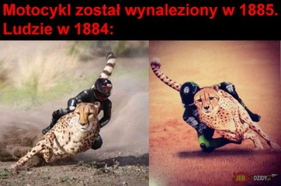 indianajones1899 - #heheszki