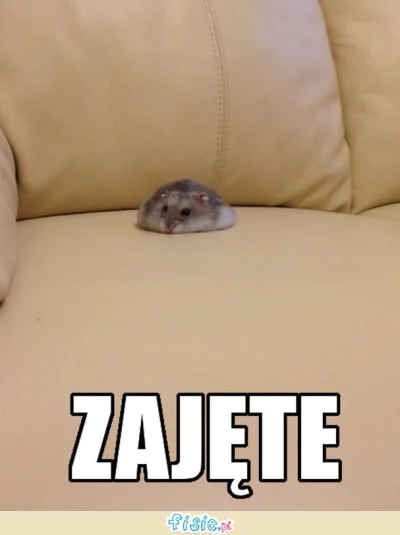 v.....o - #zajete