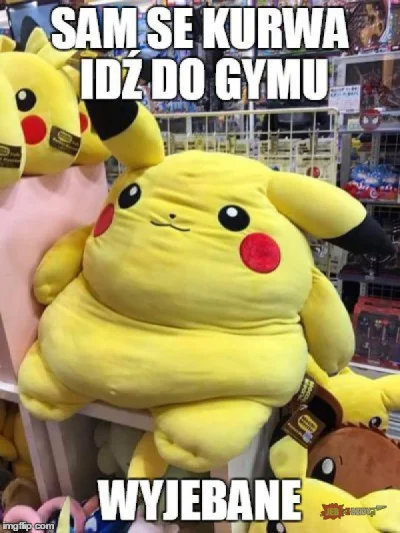 Nalogowy_pijak1 - Do gymu juz. 
#pokemongo #pokemon #torun #humorobrazkowy #heheszki