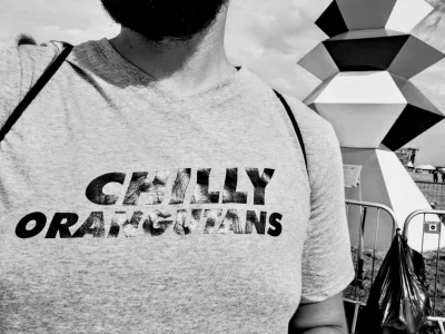 D.....k - Koszulka #arcticmonkeys Chilly Orangutans uprana I gotowa na ostatni dzień ...