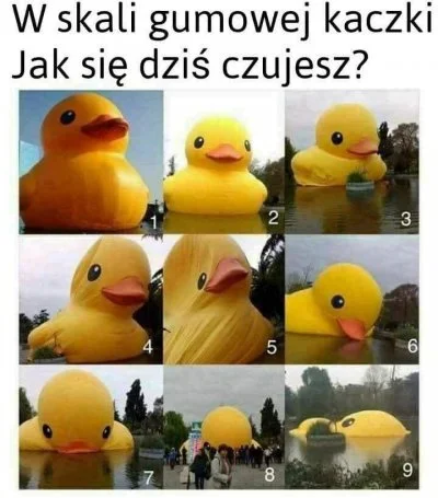 InsertPPL - Dzień dobry Mirki, miłego dnia życzę ( ͡° ͜ʖ ͡°)