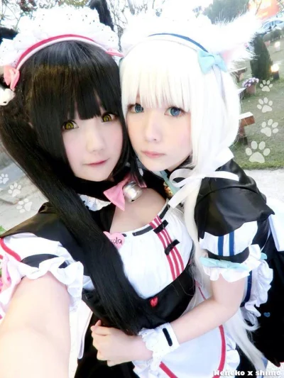 lolcat5000 - #randomanimeshit #cosplay #nekopara #chocola #vanilla #neko #maid