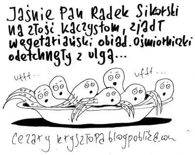 BJXSTR - #krysztoparysuje #polityka #4konserwy #humorobrazkowy #satyrapolityczna