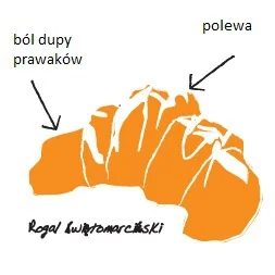 bohemot44 - #borsukpyta Jak taki mały rogal może wywołać tak wielki ból d--y? Może w ...