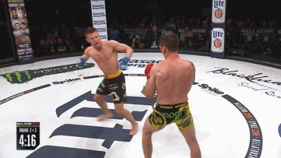 Hetman11 - #mma #held #bellator #sport