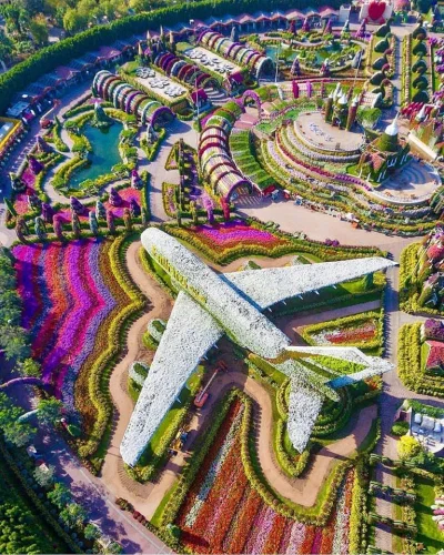 Castellano - Miracle Garden w Dubaju. Zjednoczone Emiraty Arabskie
foto: lostmagpie
...