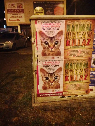 p.....a - Ktos idzie? *.*
Mowie oczywiscie o kotach w Hali Ludowej:D
#wroclaw