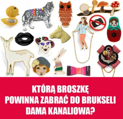 maxmaxiu - #beataszydlo #broszka #pis #uniaeuropejska #pytanie #rozowepaski