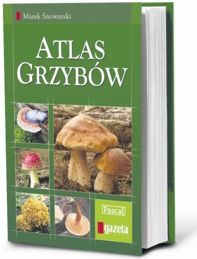 p.....2 - a tak se pomyślałem, że czas na grzyby to powrzucam atlas żeby milej się zb...