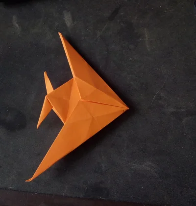 twojastarato_jezozwierz - #100rigami #origami

72/100