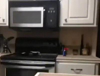 Dibhala - dzień dobry, uszanowanko (ʘ‿ʘ)

#heheszki #smiesznypiesek #gif