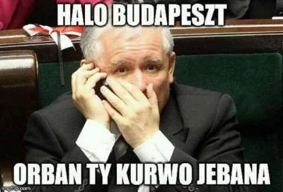 b.....6 - #heheszki #neuropa #polityka #takbylo