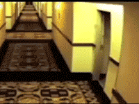 paulpipers - #gif #humor #heheszki