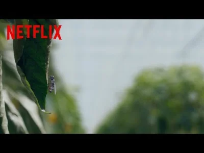 upflixpl - Czarne lustro | Wiadomości | materiał promocyjny od Netflix Polska

http...