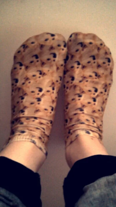 Sanski - Such awesome socks wow ( ͡° ͜ʖ ͡°)
#doge #piesel #skarpetkiboners #pokazskar...