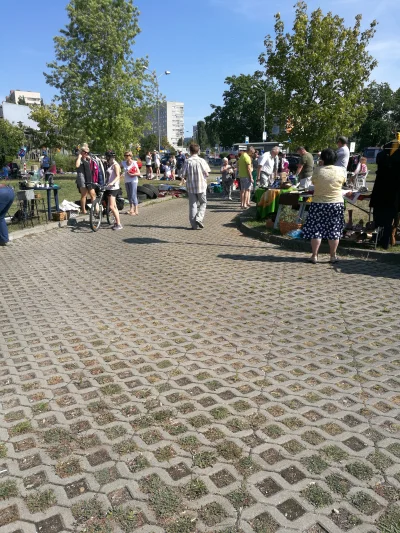 dzieju41 - Nie biegam to się na wybrałem na GUMIENIECKI JARMARK nad Jeziorkiem Słonec...