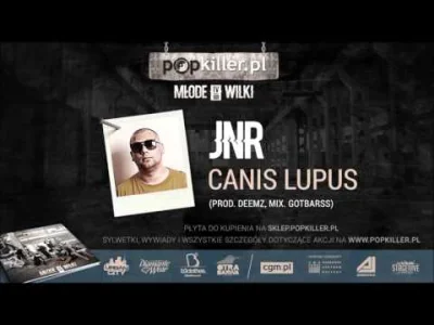 Pikaczu - JNR najlepszy, kibicuję od dawna

#rap #rapsy #nowoscpolskirap #jnr #popk...