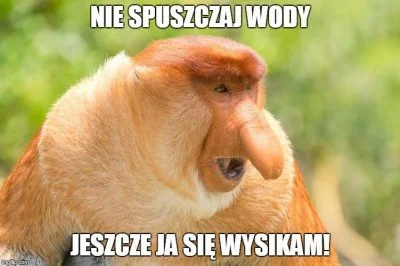 ledy - A w Polsce jak to w Polsce.