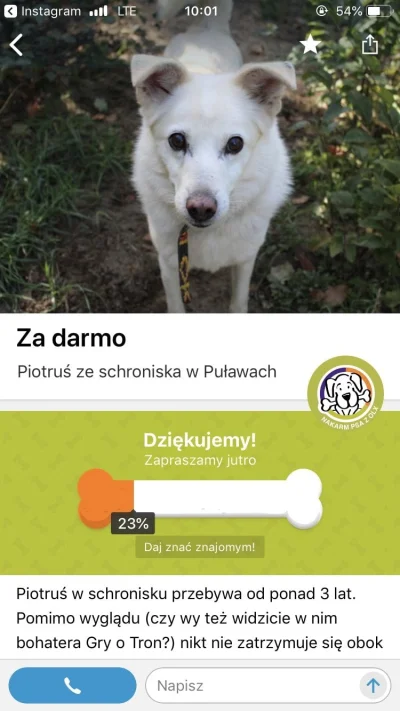 B.....b - Mirki, karmicie pieski? :( Na aplikacji olx można codziennie „nakarmić” pie...