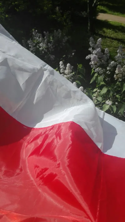 TSP89 - #polska #flaga #swietonarodowe