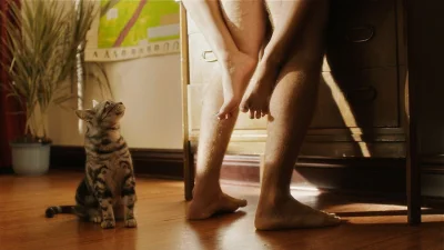 pogop - #fotografia #koty #heheszki #humorobrazkowy #seks