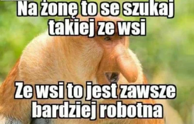 popik3 - Dzisiaj 13/100

#stonosaczynastulecie odzyskania przez Polskę niepodległoś...