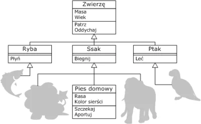 q.....n - Witam,
Jakie oprogramowanie polecacie do tworzenia grafów dziedziczenia el...