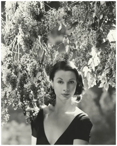 Ponczka - Cecil Beaton, Vivien Leigh, Vogue, 1946
#fotografia #dawnepieknosci