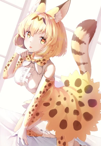 Kamil85R - #randomanimeshit #anime #serval #kemonofriends #kemonomimi
